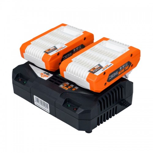 Kit 2 acumulatori + incarcator dublu RURIS Alfa UP 4444e 20 V