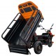 Triciclu electric cargo RURIS Pilot 3120N Triciclu electric cargo RURIS Pilot 3120N