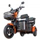 Triciclu electric RURIS Pilot 3020G Triciclu electric RURIS Pilot 3020G