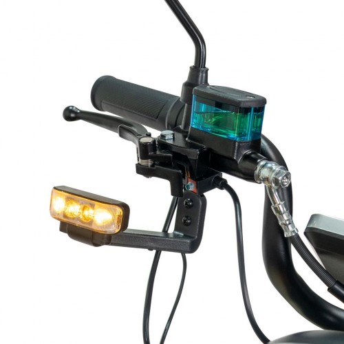 Triciclu electric RURIS Pilot 3020G Triciclu electric RURIS Pilot 3020G