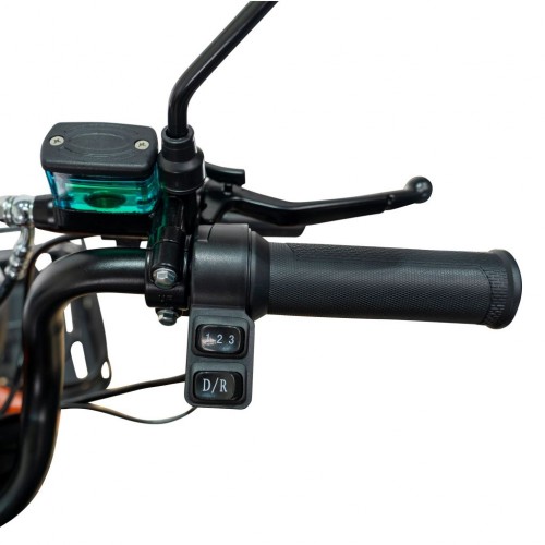 Triciclu electric RURIS Pilot 3020N Triciclu electric RURIS Pilot 3020N