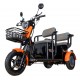Triciclu electric RURIS Pilot 3020N Triciclu electric RURIS Pilot 3020N