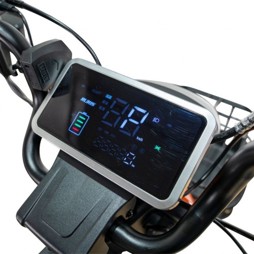 Triciclu electric RURIS Pilot 3020N Triciclu electric RURIS Pilot 3020N