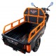 Triciclu electric cargo RURIS Pilot 3110 Triciclu electric cargo RURIS Pilot 3110