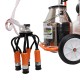 Mulgatoare RURIS Fagaras LACT 702 550 W Mulgatoare RURIS Fagaras LACT 702 550 W